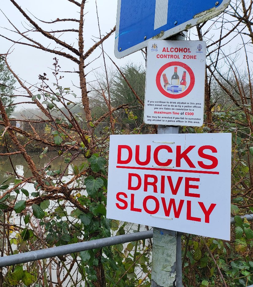 NoContextBrits's tweet photo. They shouldn’t be driving at all. https://t.co/oXZ43fyHcI