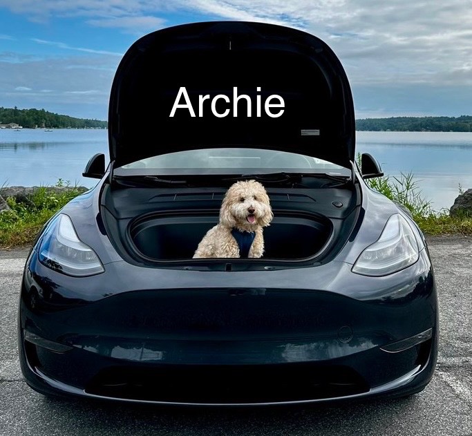 28delayslater's tweet image. It’s time to vote for the #FrunkPuppyFriday pic of the week!
Vote in the POLL below
3,000,000 #Floki tokens to the winner.