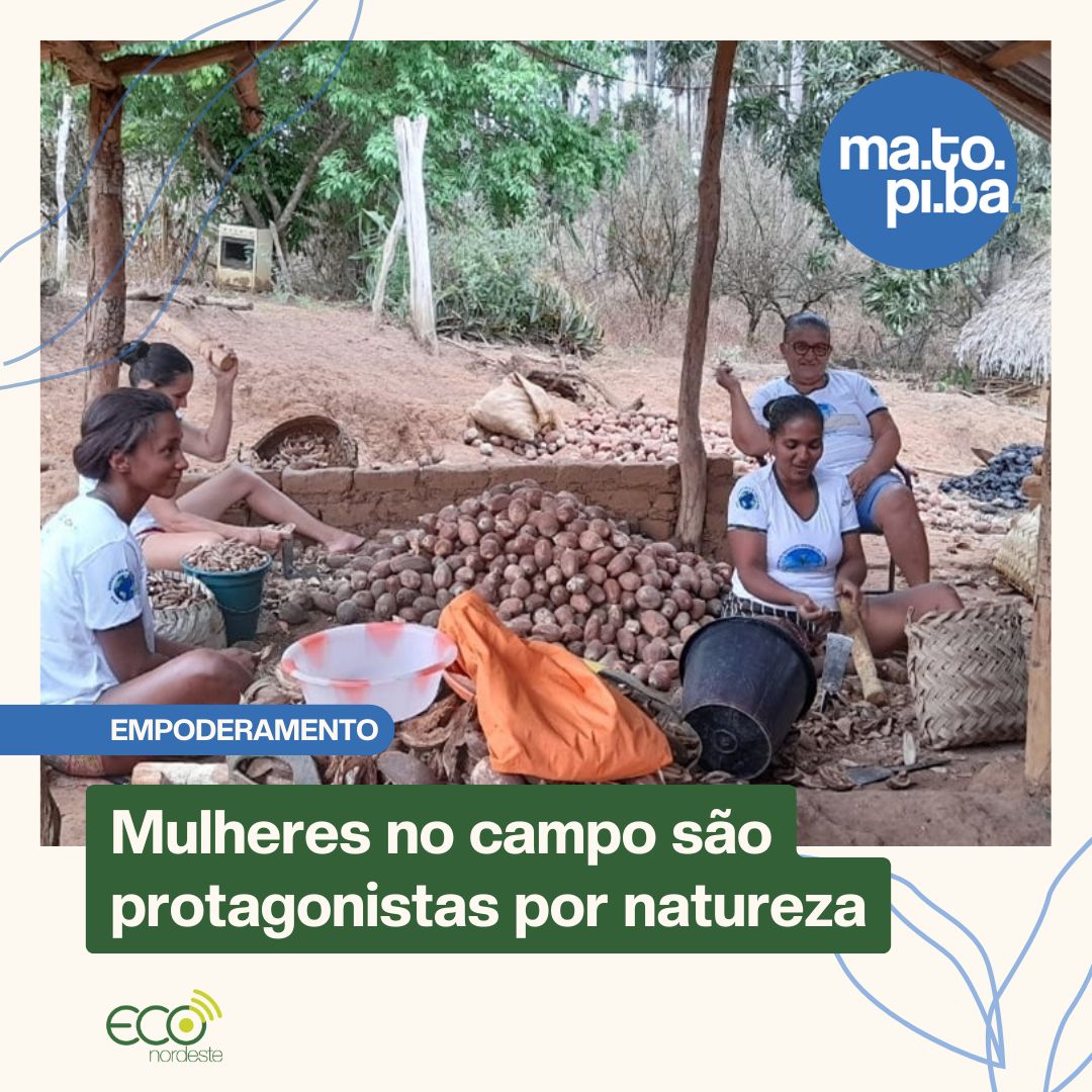 Além da independência financeira, elas avançam em capacitação e novos conhecimentos para conquistar melhorias conservando o meio ambiente: bit.ly/46mQyxl #agroextrativismo  #agriculturasustentavel #cerrado #matopiba #maranhao #balsas