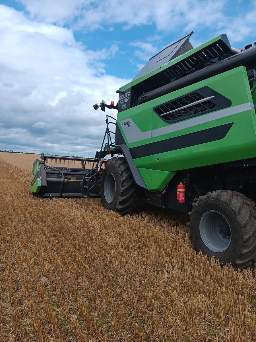 tmfitz96's tweet photo. Finally getting going but for how much longer 😮‍💨 lots of heads on the ground and crop breaking down https://t.co/koEUV6tKuL