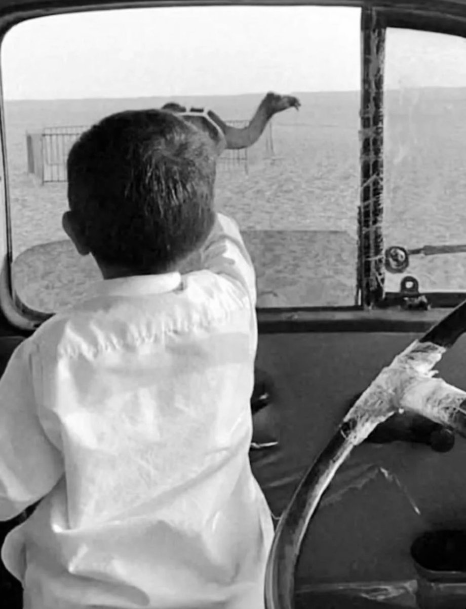 الحلم له نافذه والرزق بابه كبير
لا تقفل الباب وتعوّد على النافذه
َ
ٓلايشغلك طير غيرك وانت طيرك يطير
ياتيك رزقك ورزق الناس ما تاخذه ..