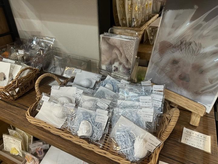 まるっと小動物展、本日から始まりました！
今回もパネル展示と物販に参加しています🦔

ぜひご来場ください〜！🐾