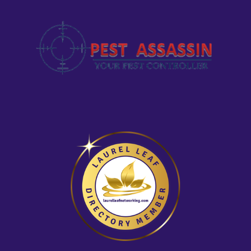 LaurelLeafChat's tweet image. 🐀🐝 Pest Assassin&apos;s commitment to excellence drives them to continually innovate and improve their pest control methods.
Call now for a quote: bit.ly/3wjg1K9
#PestControlMethods #PestControlNorthWestLondon #EcoFriendlyPestControl #PestControllerLondon #Pests #PestFree