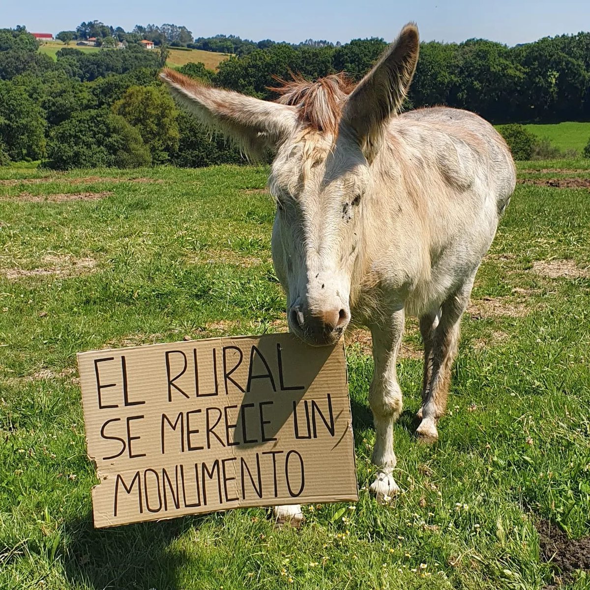 xanceda's tweet photo. Si, lo decimos: ¿cómo puede ser que el rural no tenga un monumento? 📷 ¡Vaya burrada! #xanceda #monumentorural https://t.co/ZYuU75J4Xa