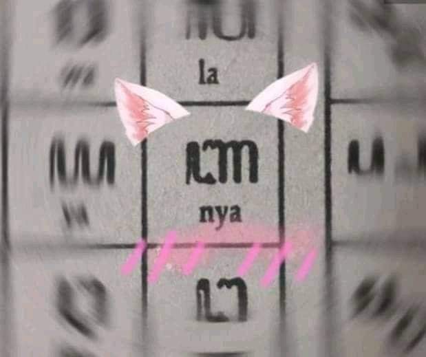 Jawafess tweet media