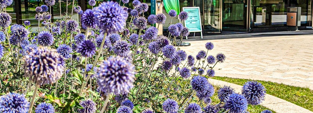 𝐖𝐢𝐬𝐡𝐢𝐧𝐠 𝐘𝐨𝐮 𝐚 𝐒𝐮𝐧-𝐅𝐢𝐥𝐥𝐞𝐝 𝐒𝐮𝐦𝐦𝐞𝐫!
Take this time to recharge, explore, and make the most of the beautiful days ahead. We look forward to reconnecting with you after the break, refreshed and ready for new opportunities. Have a fantastic summer!