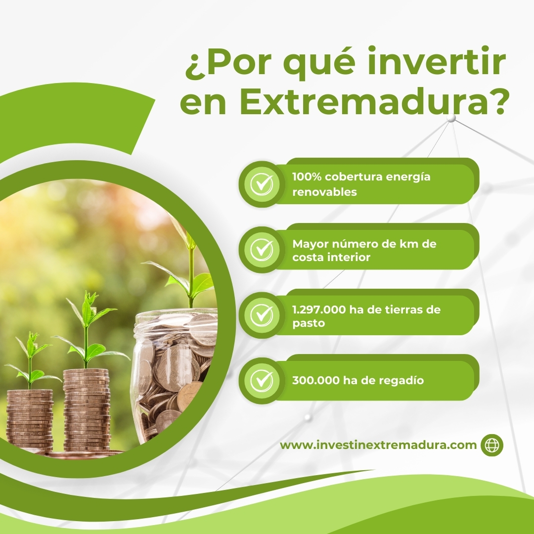 InvestExt's tweet photo. ¿Por qué invertir en Extremadura?
Aquí te dejamos solo algunas de las razones por las que nuestra región se erige como un destino inigualable de inversión ✅ 📈
#InvestInExtremadura #ExtremelyEfficient #Inversiones #Empresas https://t.co/uhRkYT31DZ