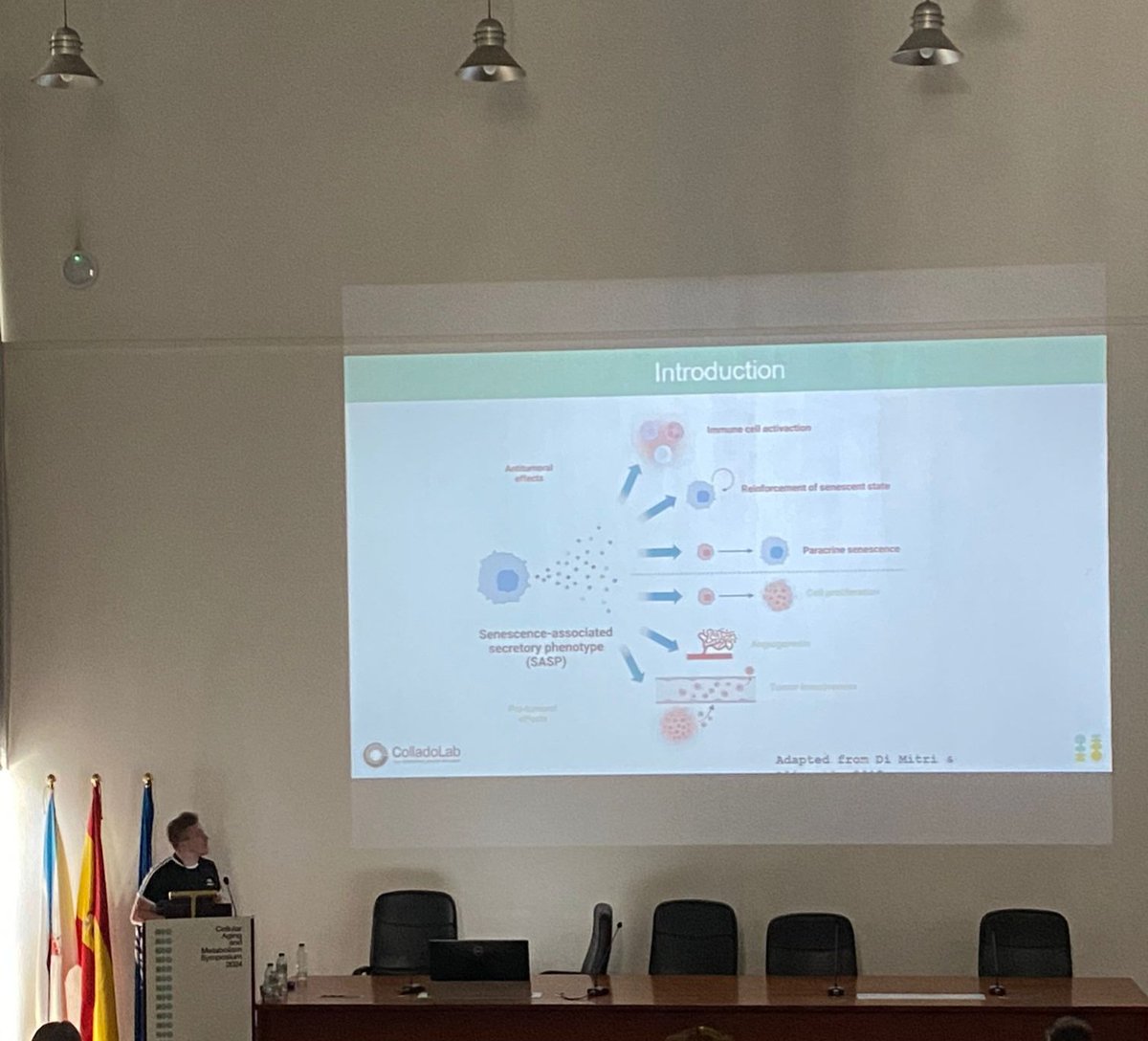 Valentín Estévez-Souto (@exosomita) on Twitter photo Once again, <a href="/ColladoLab/">ColladoLab</a> was present in <a href="/CAMS__2024/">Cellular Aging and Metabolism Symposium 2025</a> ! So honored to share our work about #EVs and #senescence with our beloved colleagues! Keep calm and love senescence! 🥳 Once again, <a href="/ColladoLab/">ColladoLab</a> was present in <a href="/CAMS__2024/">Cellular Aging and Metabolism Symposium 2025</a> ! So honored to share our work about #EVs and #senescence with our beloved colleagues! Keep calm and love senescence! 🥳