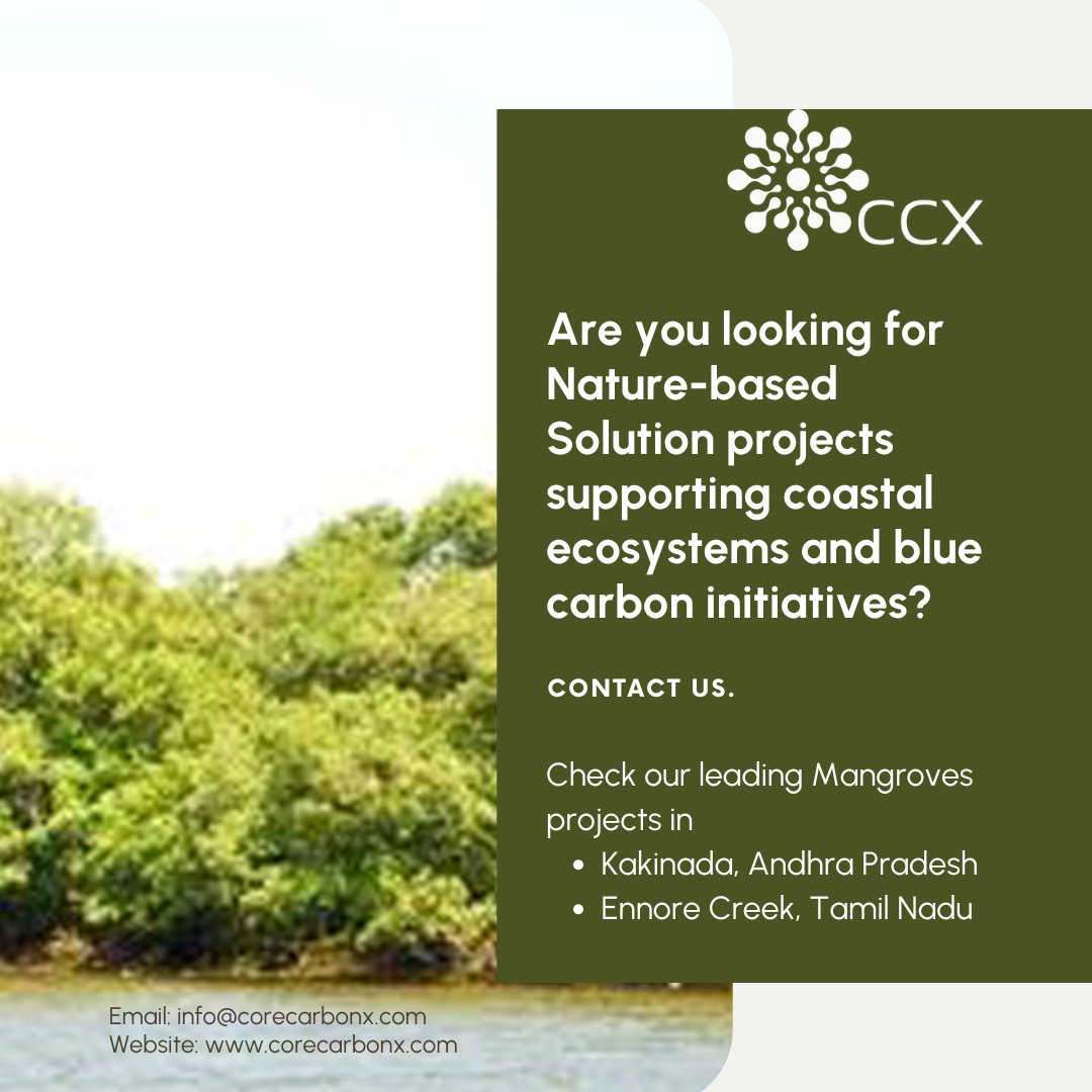 On International Day of the Conservation of the Mangrove Ecosystem, Core CarbonX proudly highlights our vital work in two key Indian mangrove ecosystems. 🌿🌊

- Kakinada, Andhra Pradesh lnkd.in/gAr_ssn4 
- Ennore Creek, Tamil Nadu lnkd.in/dP4WNSDV

#MangroveDay