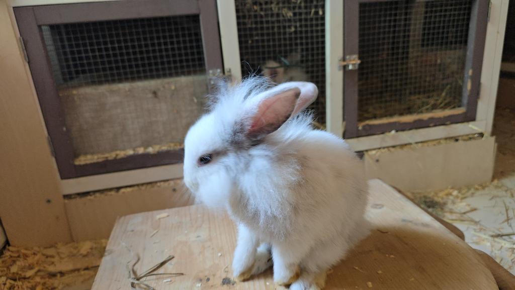 Ganz schön groß, die kleine