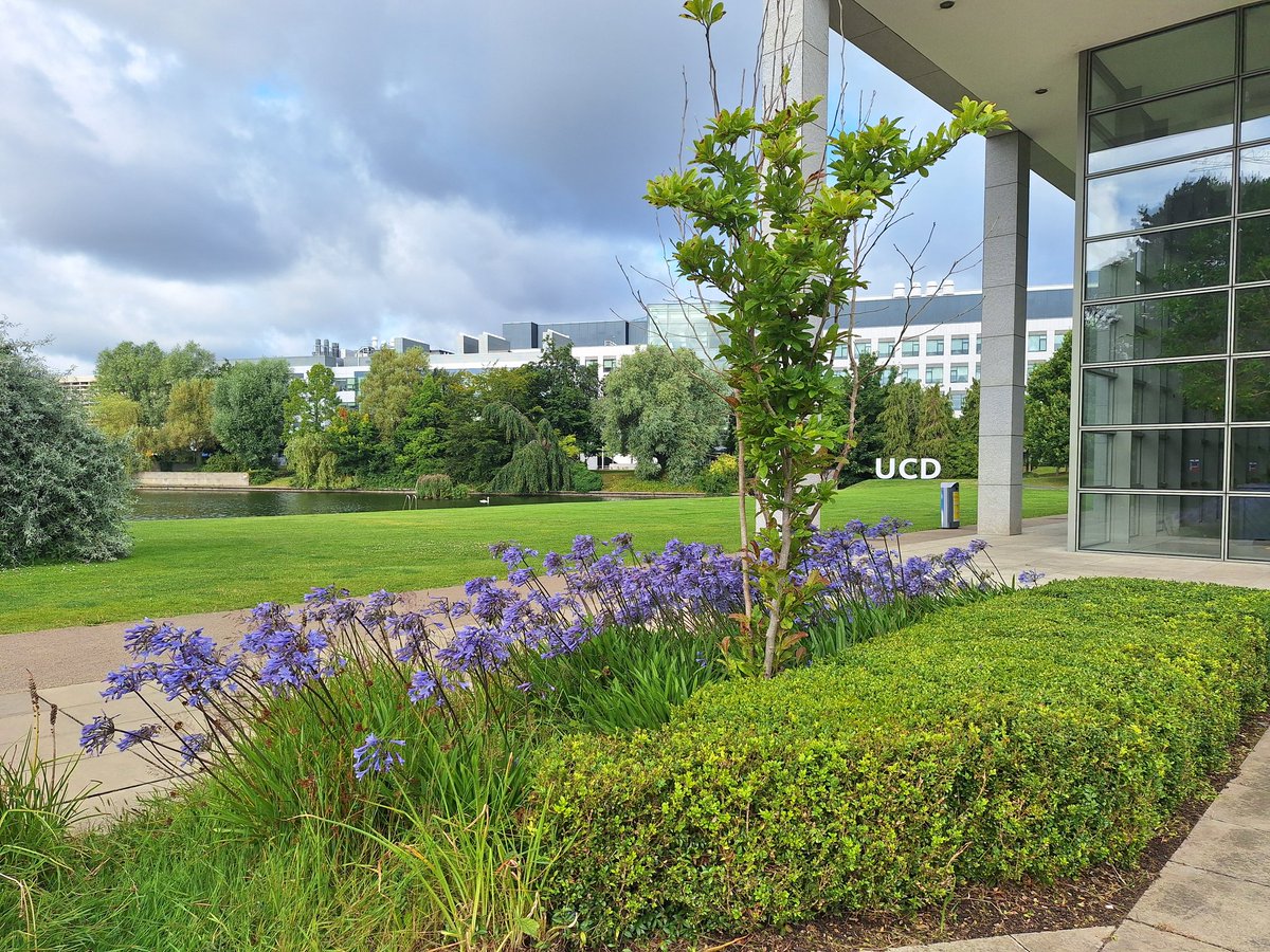 Stephen Stockdale 🇮🇪🧬 (@stevestockyphd) on Twitter photo All-Ireland Haematology Forum 2024 at <a href="/ucddublin/">University College Dublin</a> bringing together experts and researchers from across the island of Ireland to advance important research. Happy to support as <a href="/Novogene_Europe/">Novogene Europe</a> All-Ireland account manager. #AIHF2024 #Sequencing #LoveIrishResearch All-Ireland Haematology Forum 2024 at <a href="/ucddublin/">University College Dublin</a> bringing together experts and researchers from across the island of Ireland to advance important research. Happy to support as <a href="/Novogene_Europe/">Novogene Europe</a> All-Ireland account manager. #AIHF2024 #Sequencing #LoveIrishResearch