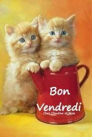 <a href="/geonelroma/">Gee Enne</a> Felice venerdì.