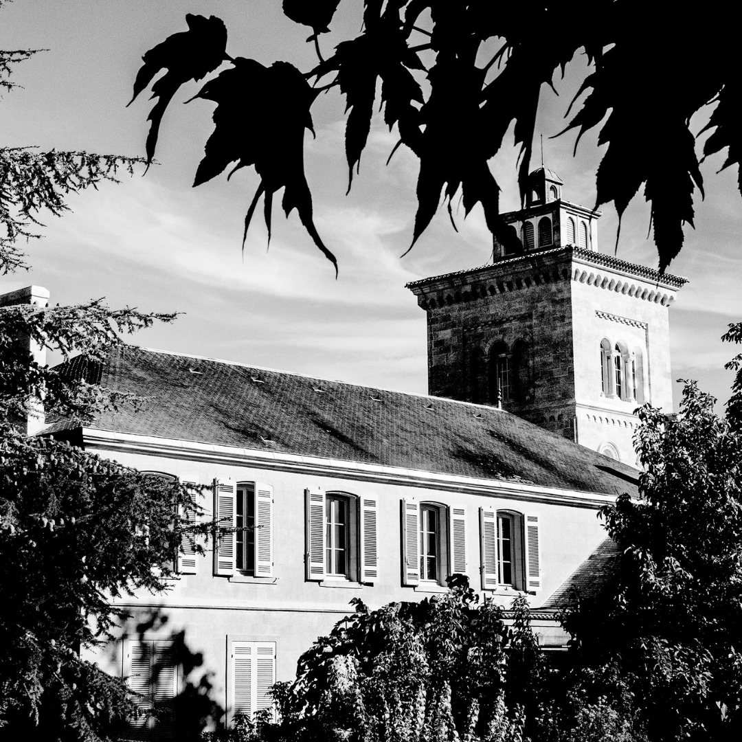 Vertical Tasting #ChateauLagrange – the latest releases from 2015 onwards offer a bright, refreshing, shimmery expression, revealing a glimpse of a deeper, more opulent subtext yet to come. @lisaPBMW #saintjulien #bordeauxwine #grandcruclasse 
Read more : bit.ly/46tweKT