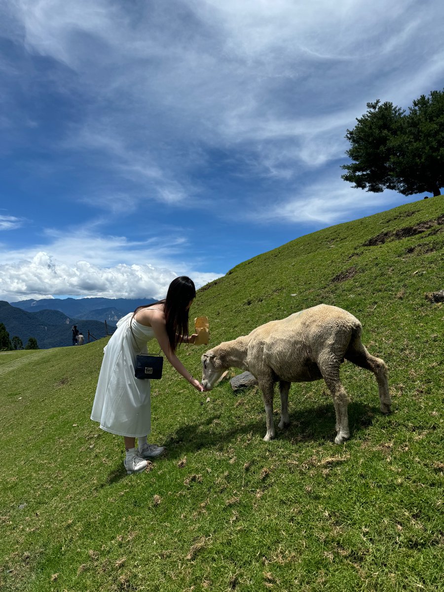 看 咩 🐑 https://t.co/eDR5haMfYW