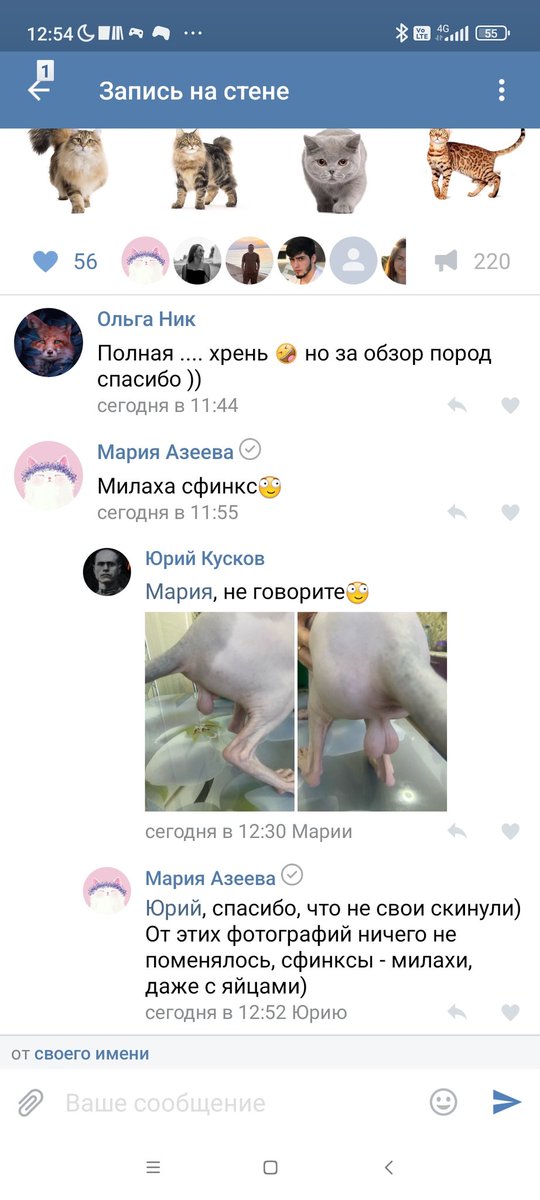 Что за странная зацикленность на гениталиях у некоторых мужиков?!