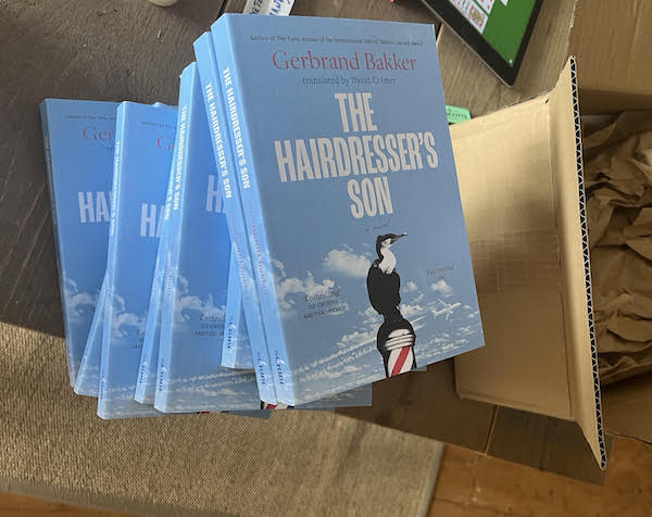 Dear English and Irish readers: does anybody even know that this book is out? There have been five weeks of deafening silence since it was published on the 20th of June.