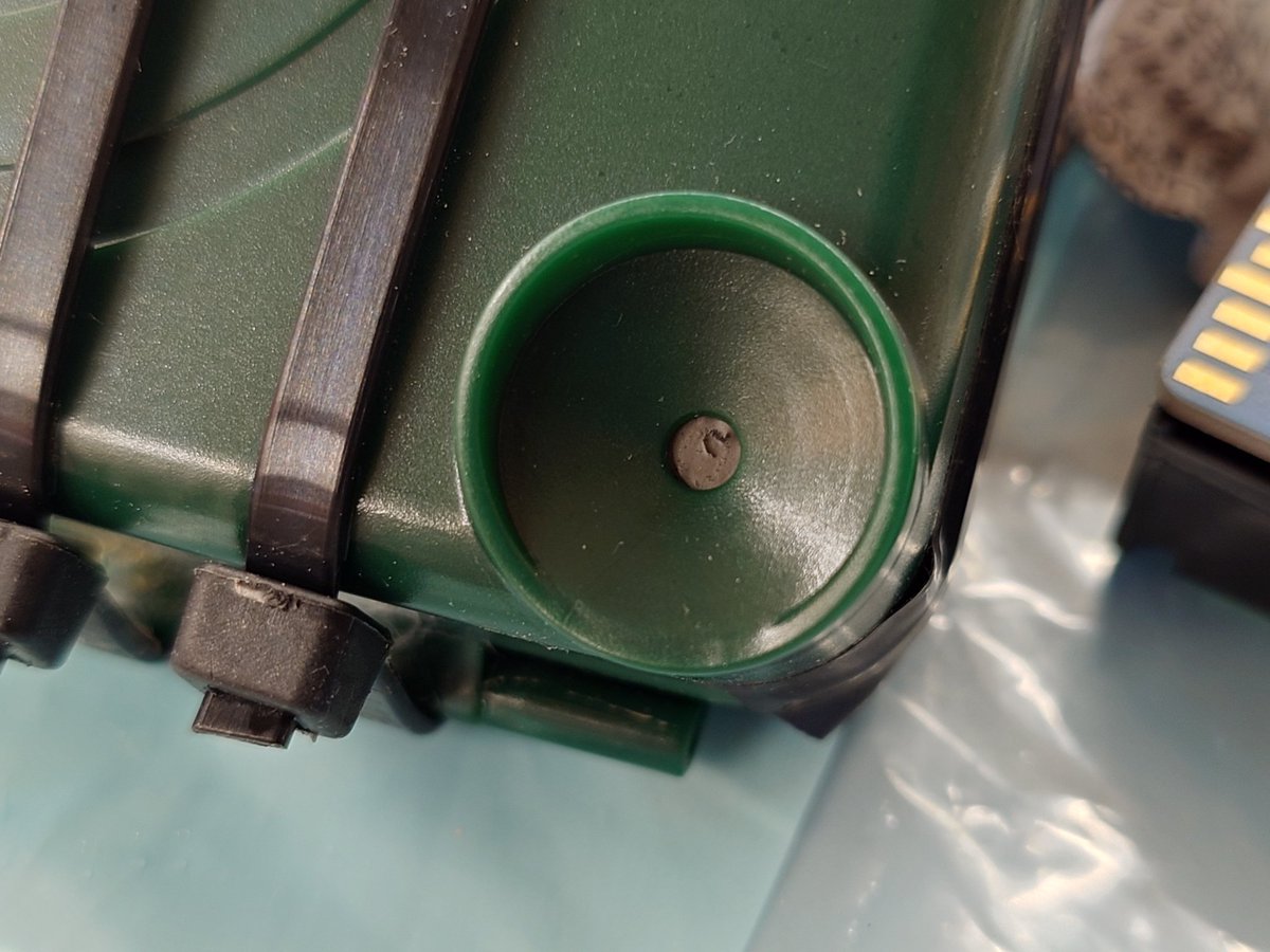 Ann "Sparrow" To tweet media