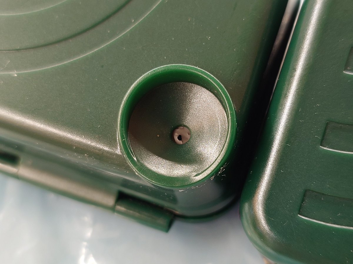 Ann "Sparrow" To tweet media