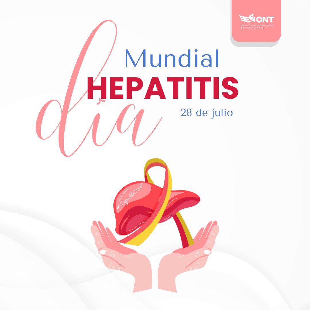 📉 Un buen dato para celebrar el #DiaMundialHepatitis. Gracias a la llegada en 2015 de los antivirales de acción directa, la lista de espera para #trasplante hepático por indicación de #hepatitisC se ha ido reduciendo cada año desde el 36,6% hasta rondar el 10% #OrgulloONT💙