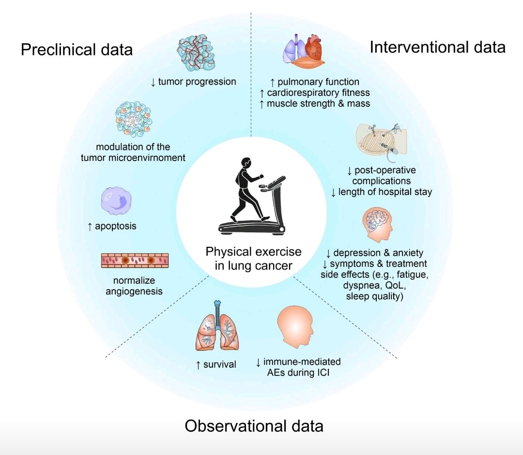 AvanciniAlice's tweet photo. 📣📣📣 #Physical #exercise 🚴‍♀️ could improve the #response to #neoadjuvant treatment 💊 in patients affected by #lung 🫁 #cancer!!!!!

Read our commentary on @ClinicalLung

https://t.co/WqieiE0MR2

@sara_pilotto @lorenzobellu https://t.co/dhgaRo44Nl