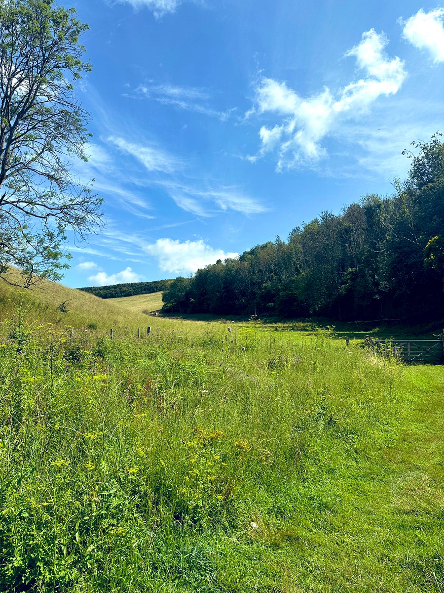 MrsWilsonY6's tweet photo. Love walking in Arundel 🌳🍃🌷🌻 https://t.co/QfUxZDkX8Y