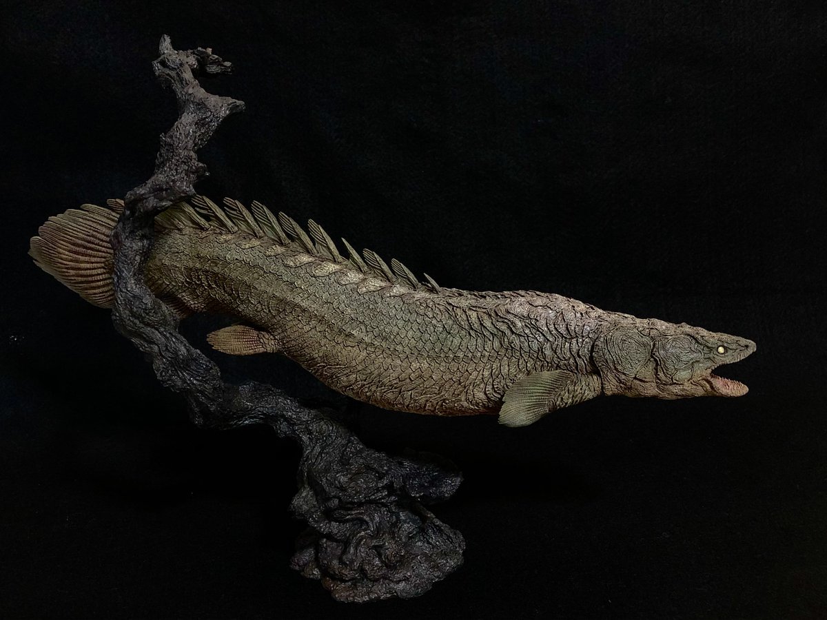 KUDAFU_ROMI's tweet image. もう塗装が終わりそうにないので、一旦先に告知を、
「モケーレ・ムベンベ」
全長約35cm ベース付き
¥20000
レジンキット 全12パーツ
卓番6-23-09
よろしくおねがいいたします〜。
#wf2024s #ワンフェス #UMA