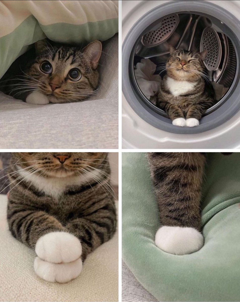 elviera (@elviera202) on Twitter photo 