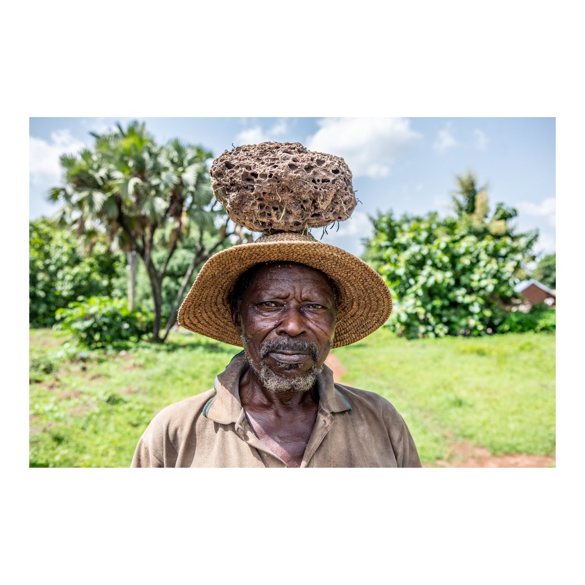 Un cultivateur âgé quitte ses champs, arborant un #sourire éclatant. Sur sa tête, il porte un morceau de terre contenant des termites qu’il destine à ses #poussins. Selon lui, casser ce morceau de terre permet aux poussins de se nourrir des petits termites à l’intérieur.