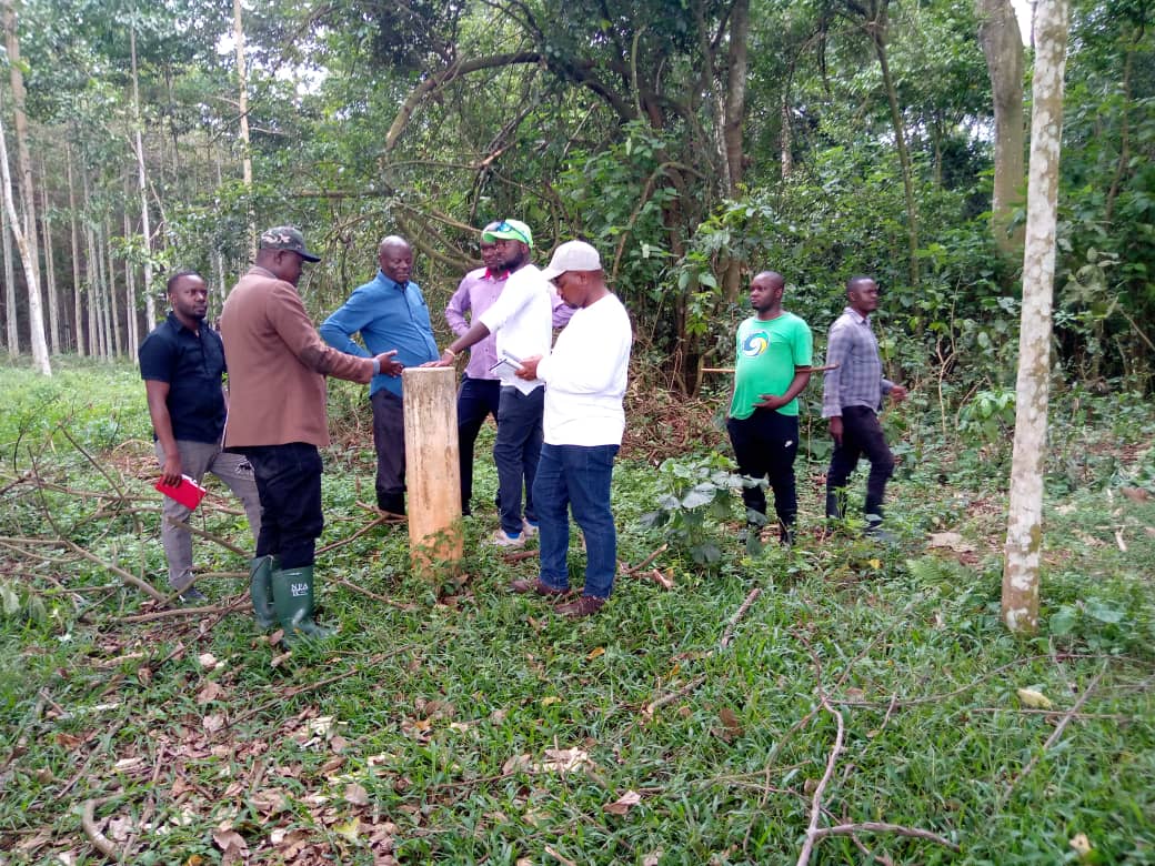 ForestryMgt_MWE's tweet photo. Conserve for Future Sustainable Development Association (COFSDA) CFM in Mabira and Golomolo agroforestry Farmers association in Kizinkuna CFR, Zirimiti Sector held a meeting with Volkswagen representatives from Germany. #Forestchat #Treechat #NFAworks https://t.co/IHseqoE8rI