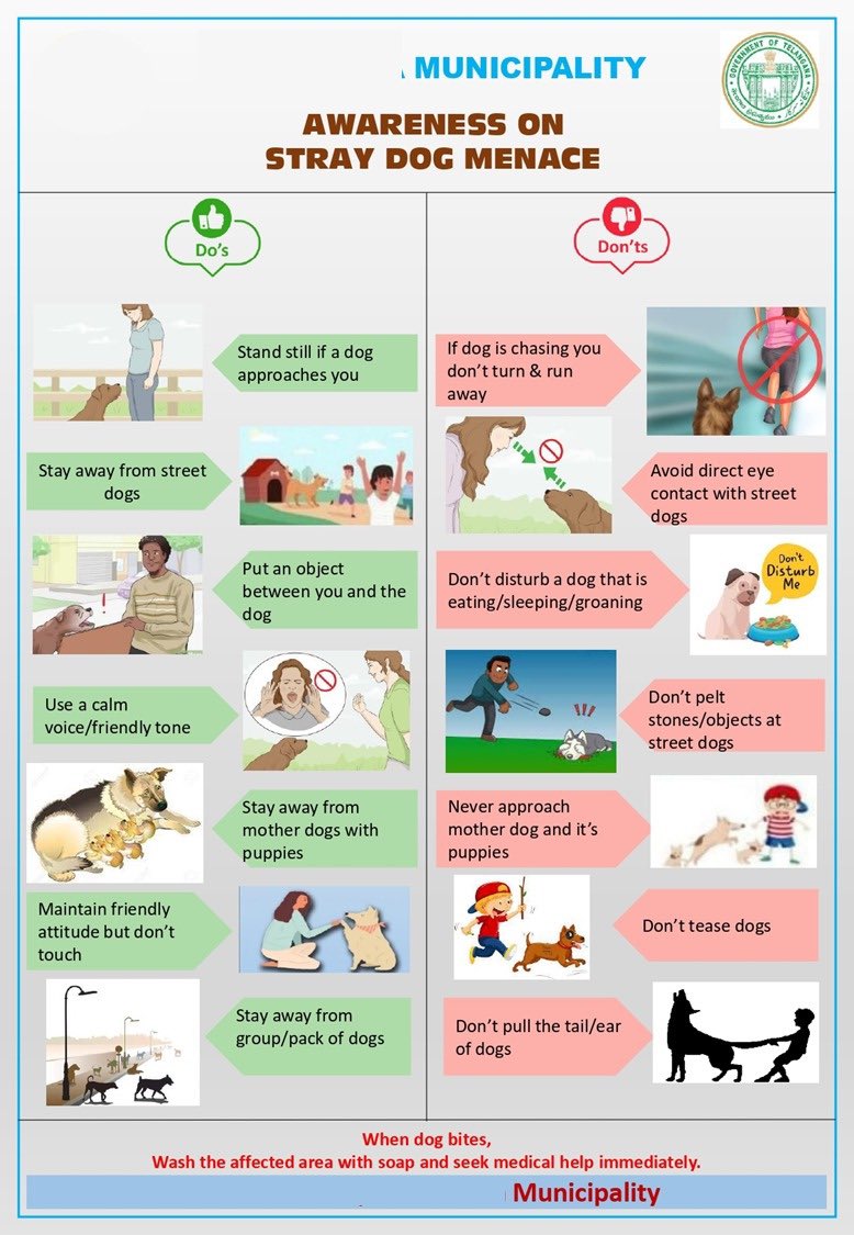 Do’s & Dont’s while dealing with stray dogs & dog bites!! CDMA along ...