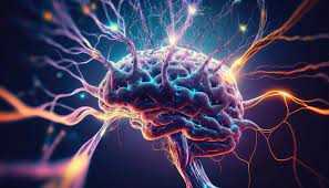 Austinw9523's tweet photo. Young researchers, this is your chance to shine! 💡 Apply now for the 17th International Conference on Neurology &amp; Neuromuscular Disorders in Paris! #Neuroscience  #youngresearchers #CallForPapers  #Paris  #conferenceinference  #biomarkers
Register at:https://t.co/60U3V6Eeo1 https://t.co/Lags60H1m3