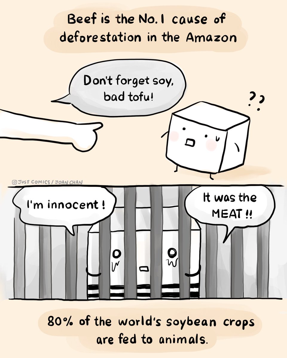 herbivore_club's tweet photo. The rainforest conversion that beef generates is more than double that generated by the production of soy, palm oil, and wood products (the second, third, and fourth biggest drivers) combined. Beef also converts grasslands to savannas.
🎨 Just Comics
#WorldTofuDay
#TofuDay https://t.co/GsbrgvG2E9
