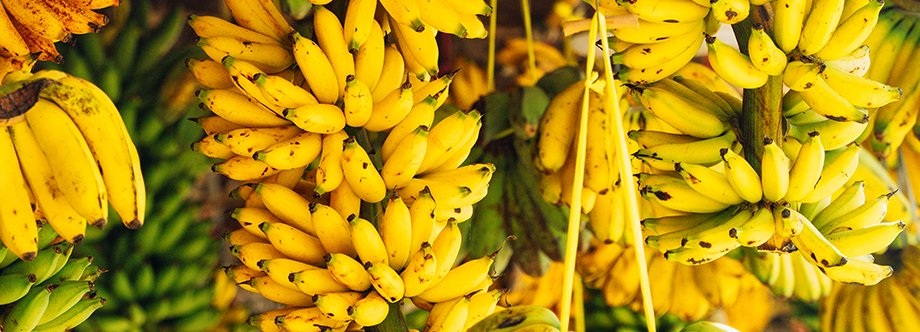 WorldlyHQ's tweet photo. Banana 🍌🍌🍌. https://t.co/sqVH6NTps9