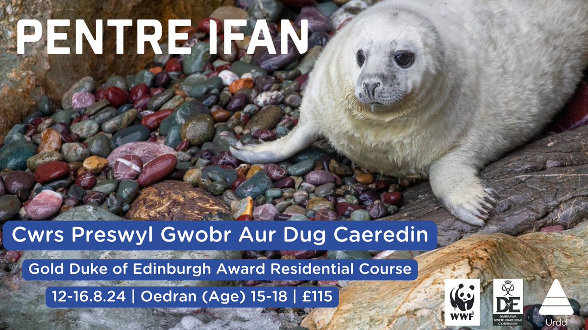 Pentre Ifan (@pentreifan) on Twitter photo Angen cyflawni cwrs preswyl ar gyfer eich Gwobr Dug Caeredin Aur?
Rydym dal gyda pheth argaeledd ar gyfer ein cwrs ar y 12-16 o Awst!
urdd.cymru/.../cwrs-presw…
<a href="/DugCaeredinYGBM/">Awyr Agored a DofE Ysgol Gymraeg Bro Morgannwg</a> <a href="/GwobrDCPlasmawr/">DugCaeredinPlasmawr</a> <a href="/GwobrDCBroEd/">DugCaeredinBroEdern</a> <a href="/dugcaeredinYGRh/">Dug Caeredin YGRh</a> <a href="/DCCwmRhymni/">DugCaeredin YGCRh</a> <a href="/DugCaeredinYMG/">Dug Caeredin YMG</a> <a href="/DofE/">The Duke of Edinburgh’s Award</a> Angen cyflawni cwrs preswyl ar gyfer eich Gwobr Dug Caeredin Aur?
Rydym dal gyda pheth argaeledd ar gyfer ein cwrs ar y 12-16 o Awst!
urdd.cymru/.../cwrs-presw…
<a href="/DugCaeredinYGBM/">Awyr Agored a DofE Ysgol Gymraeg Bro Morgannwg</a> <a href="/GwobrDCPlasmawr/">DugCaeredinPlasmawr</a> <a href="/GwobrDCBroEd/">DugCaeredinBroEdern</a> <a href="/dugcaeredinYGRh/">Dug Caeredin YGRh</a> <a href="/DCCwmRhymni/">DugCaeredin YGCRh</a> <a href="/DugCaeredinYMG/">Dug Caeredin YMG</a> <a href="/DofE/">The Duke of Edinburgh’s Award</a>