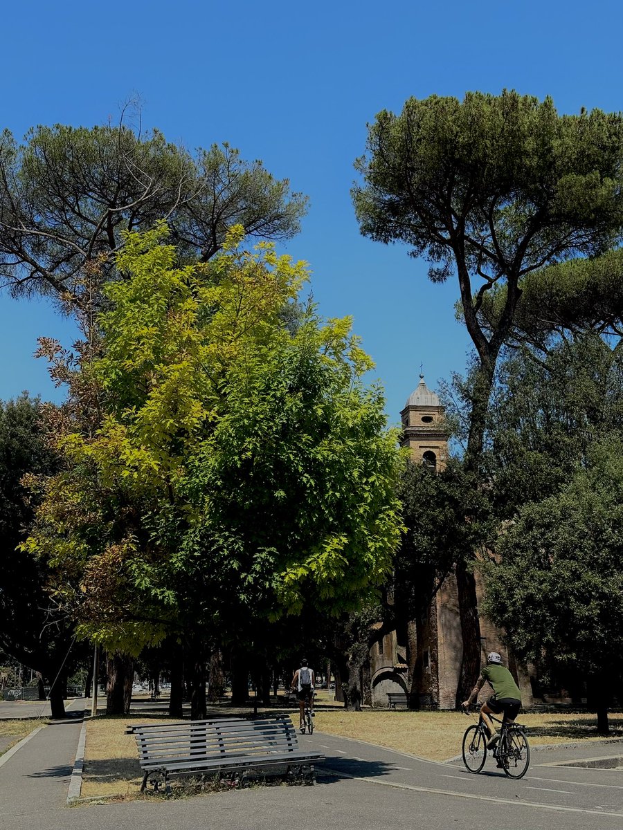 ElioMinerva's tweet photo. Rome, multi-green tree between Caracalla e la Chiesa dei Santi Nereo e Achilleo. https://t.co/TyPhWioNmX