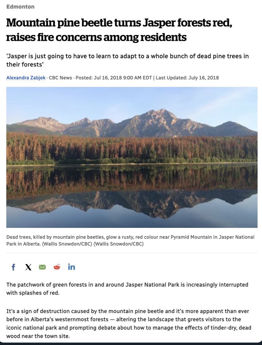 KnightLegg's tweet image. Jasper and climate change

Irek the Liberal MP from Windsor saw the Jasper fire. He - and others - are tweeting to make sure everyone knows how much they believe in climate change. 

He quotes Joe Biden, says “hearts break” for Albertans, then adds, ominously:  “But let’s also be…