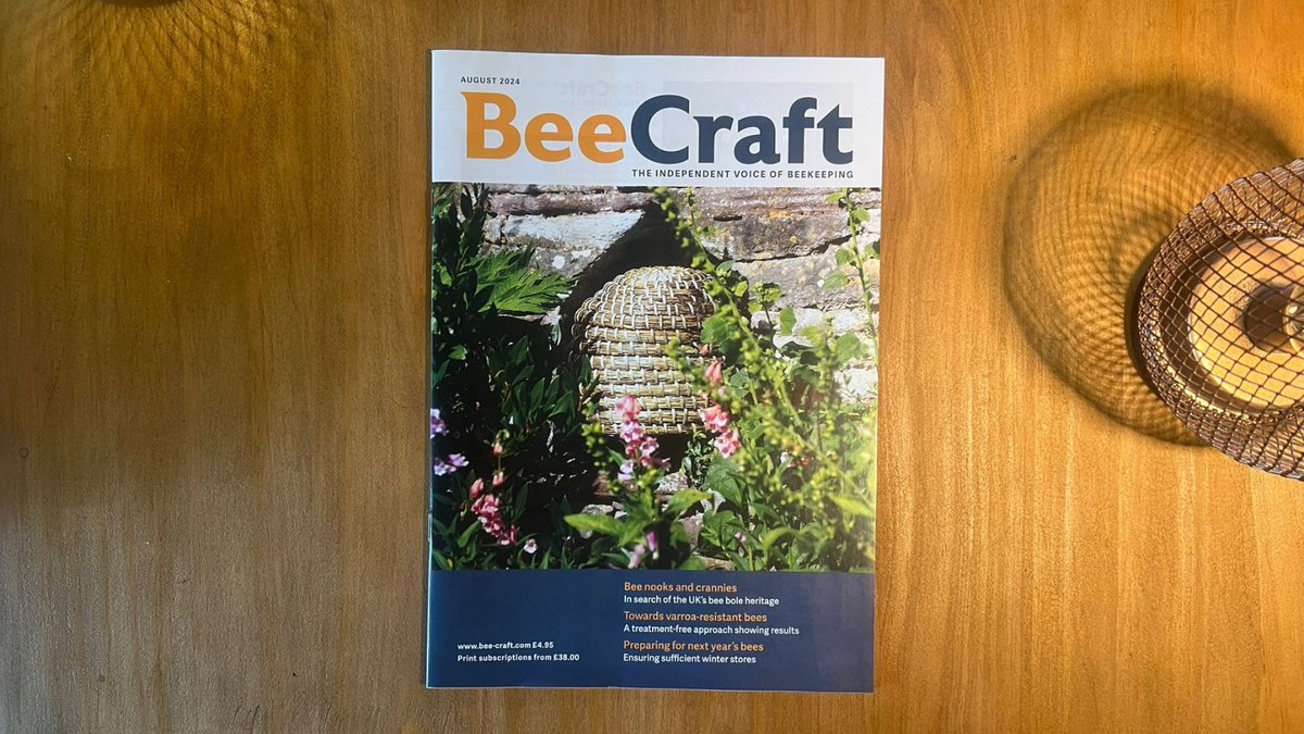 The co-editors have been on a wonderful trip to Scotland and northern England where they had fun hunting down bee boles in spare moments. The August cover shows a skep in a bee bole at Thornbury castle, Bristol, and many more (and their stories) are featured on page 24.

#bees