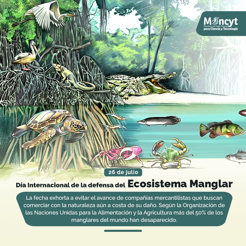 Ministerio del P. P para Ciencia y Tecnología tweet media