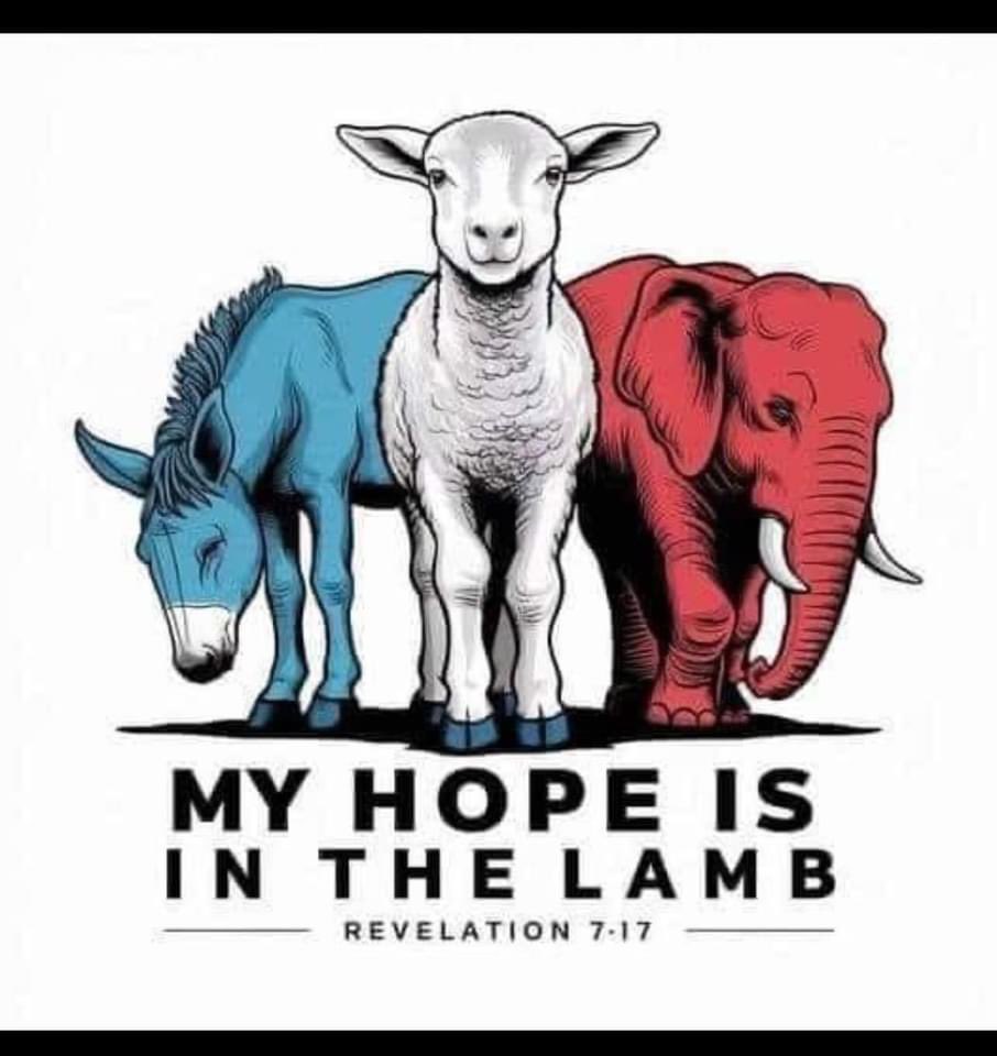 🎭 Cam Ray Semiproductions 🎭 tweet media