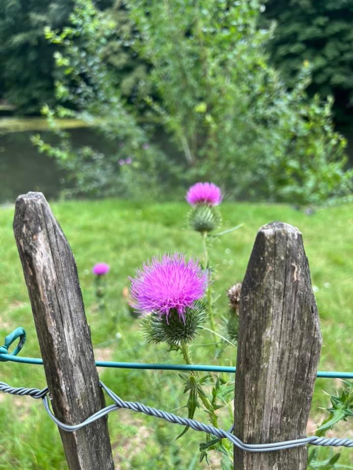 yildizsun's tweet image. "Göklerin ve yerin mülkü Allah'ındır ve dönüş yalnızca O'nadır ."

#kuran #artlover #aşkAllah #allahınsanatı #creationisbeautiful #CreationoftheGod #hayirlicumalar