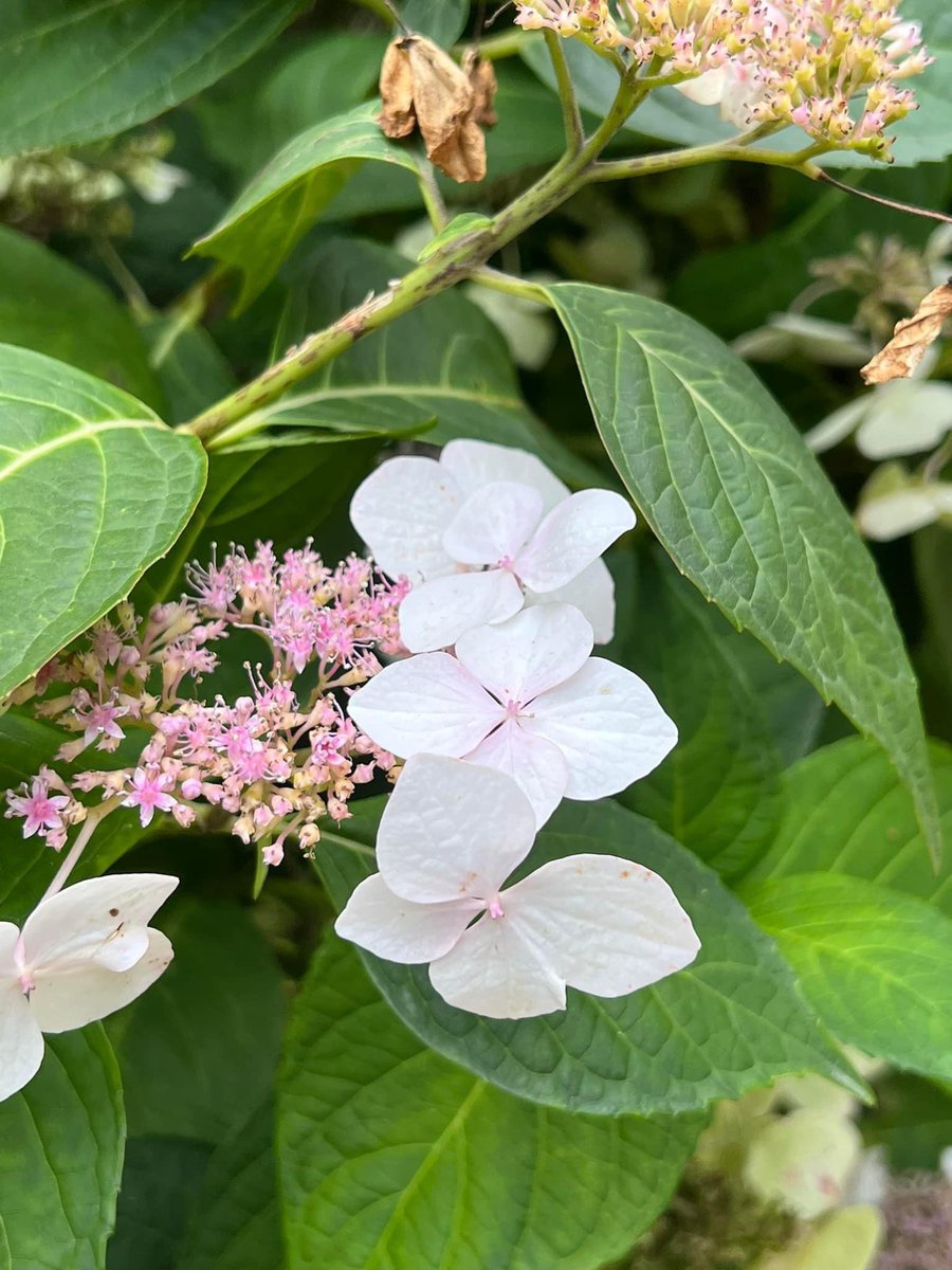 yildizsun's tweet image. "Göklerin ve yerin mülkü Allah'ındır ve dönüş yalnızca O'nadır ."

#kuran #artlover #aşkAllah #allahınsanatı #creationisbeautiful #CreationoftheGod #hayirlicumalar