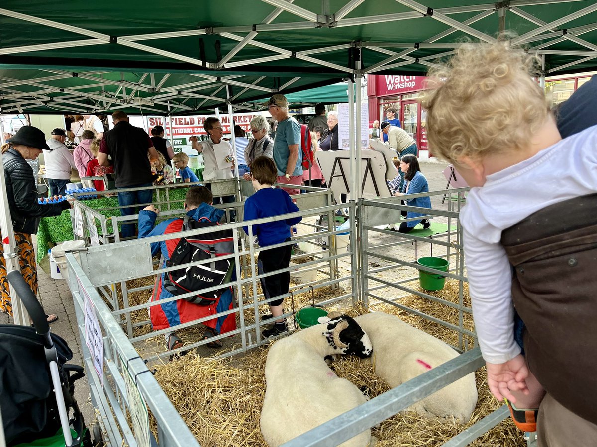 CazGraham1's tweet photo. Chick alert! Farm to Fork day at #Kendalfarmersmarket. The sun’s shining, the crowds are out, the produce is top notch as ever. @Sillfieldfarm @lovinglyartisan @ThornbyMoor @mrskirkhamslanc https://t.co/aOk7DDfYSK
