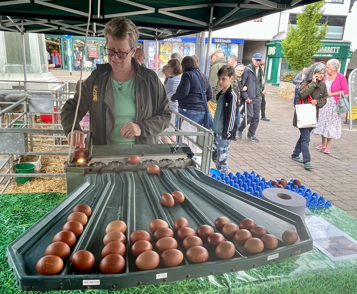 CazGraham1's tweet photo. Chick alert! Farm to Fork day at #Kendalfarmersmarket. The sun’s shining, the crowds are out, the produce is top notch as ever. @Sillfieldfarm @lovinglyartisan @ThornbyMoor @mrskirkhamslanc https://t.co/aOk7DDfYSK