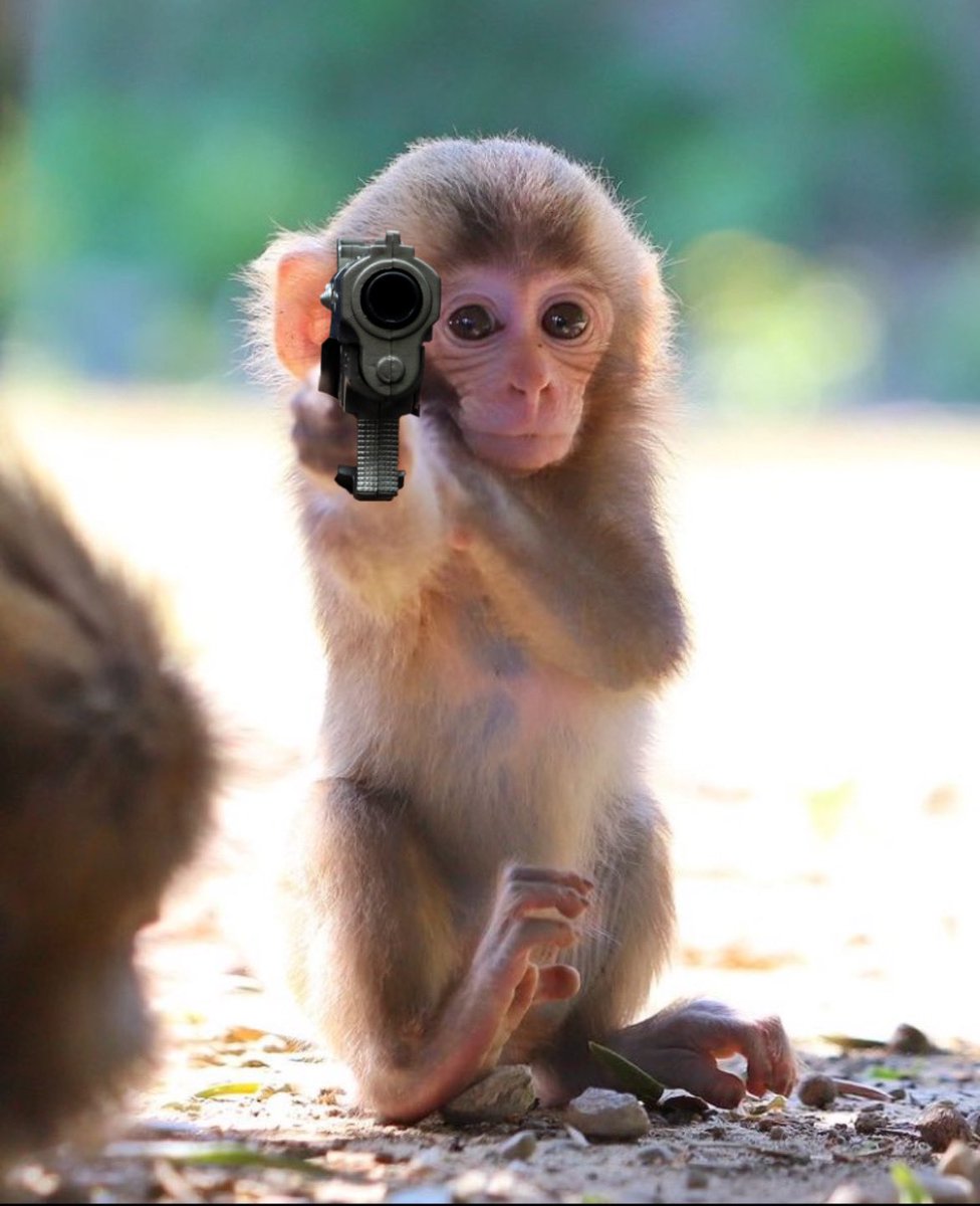 give me all ur fruits rn