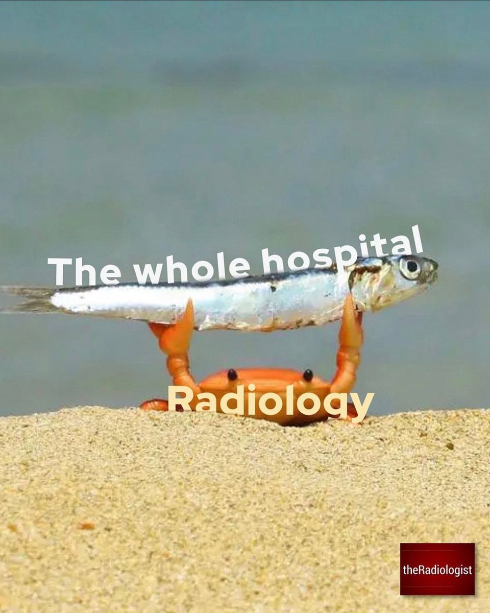 theRadiologist tweet media
