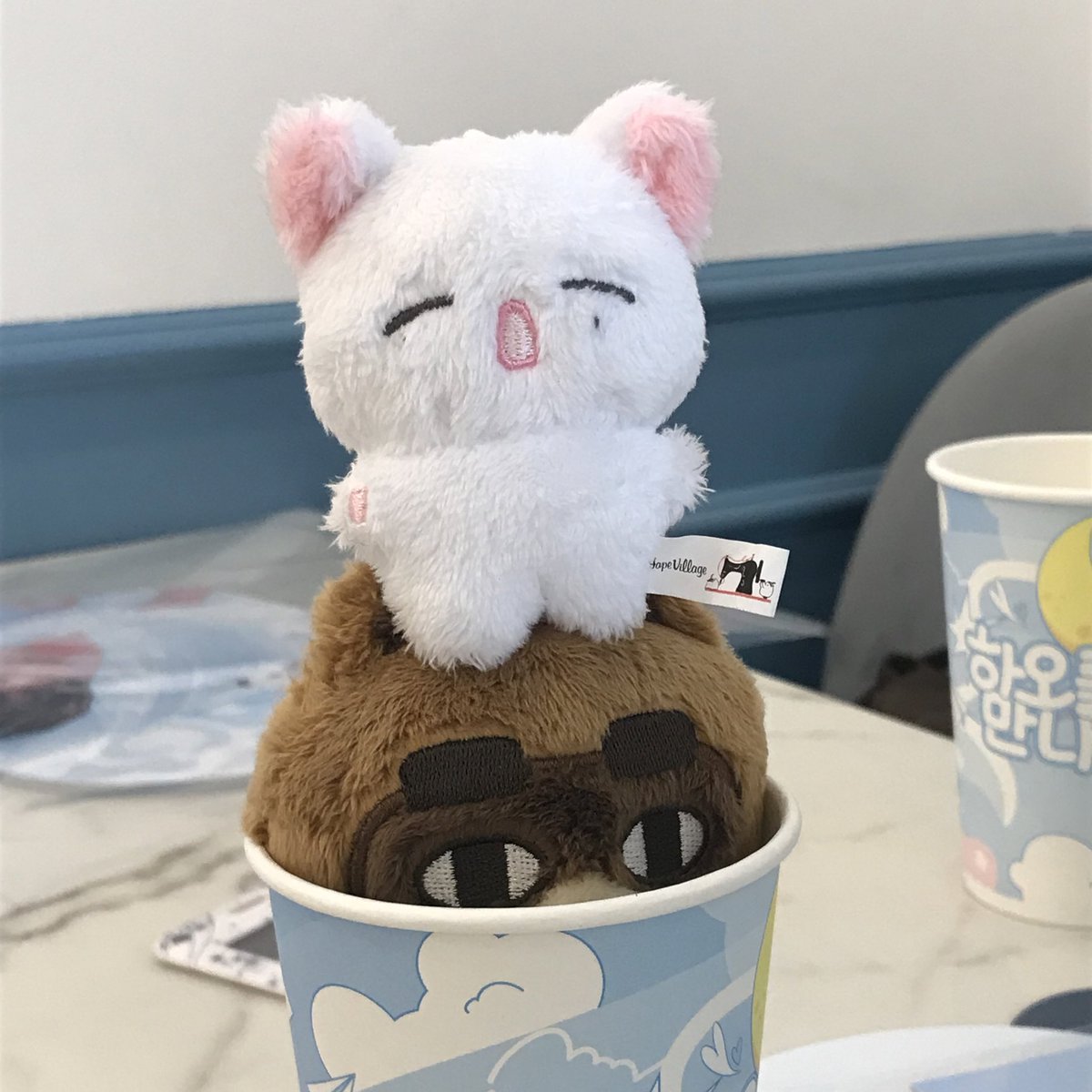 어떤 너구리 그리고 누누
친해지길...