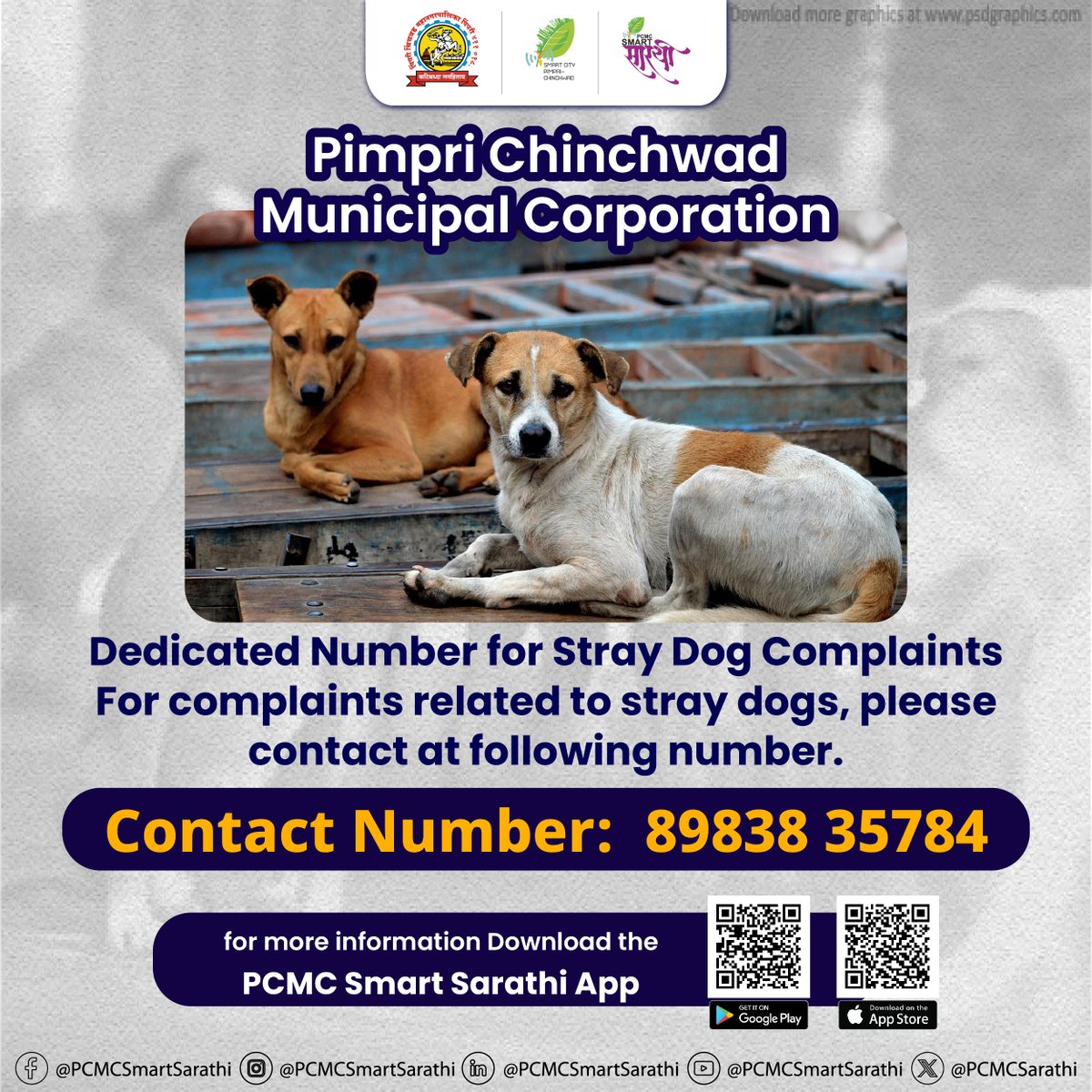 PCMCSarathi's tweet photo. 🐾 Dedicated Number for Stray Dog Complaints 🐾
If you have any complaints related to stray dogs, please contact us at the following number:
📞 Contact Number: 89838 35784
Let's work together! 🐶💖
#StrayDogs #AnimalWelfare #HelpTheStrays #ContactUs #StaySafe #PetLovers #CommunityCare #pcmc #pcmcsmartsarathi