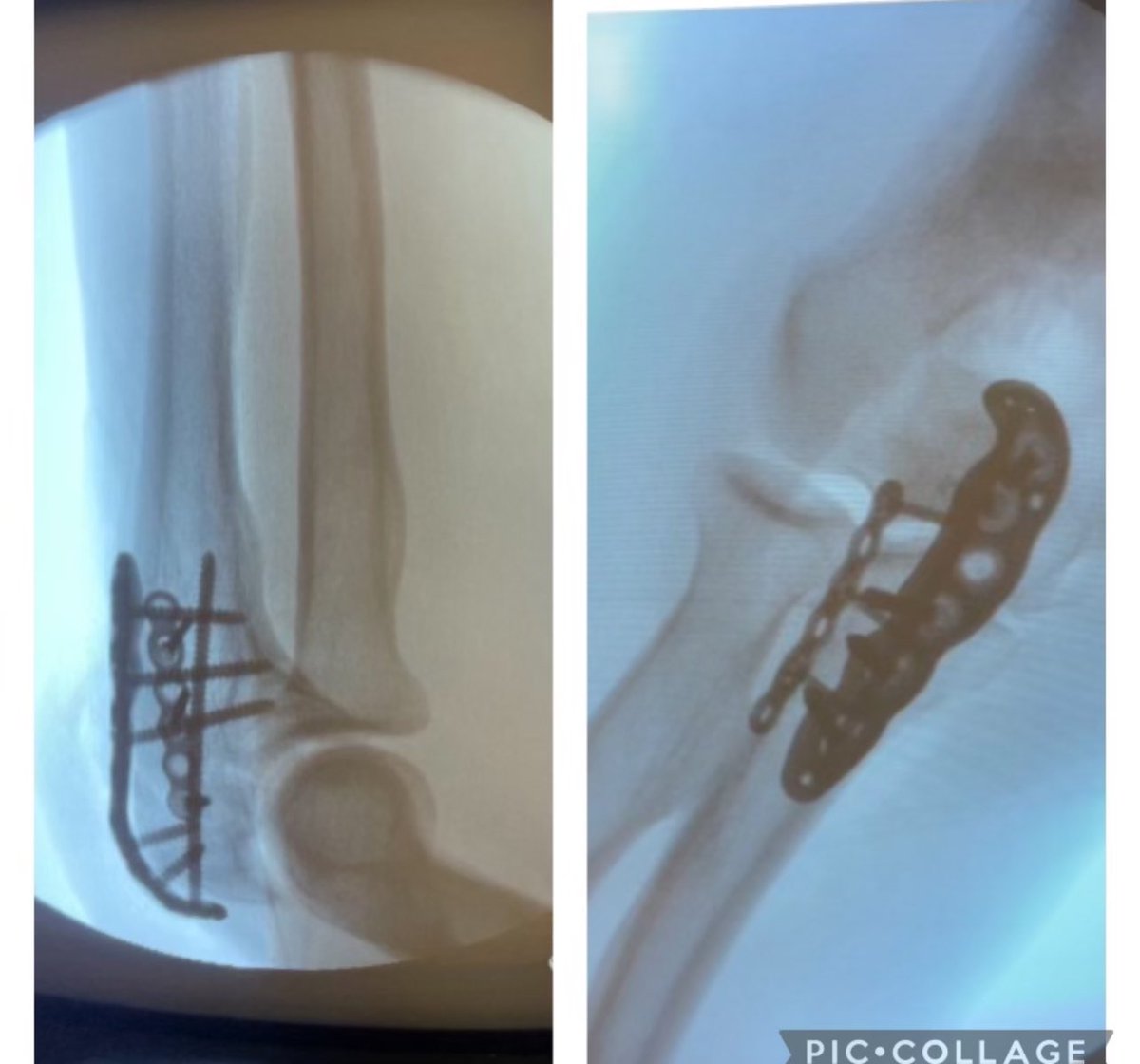 Eric Eisner tweet media