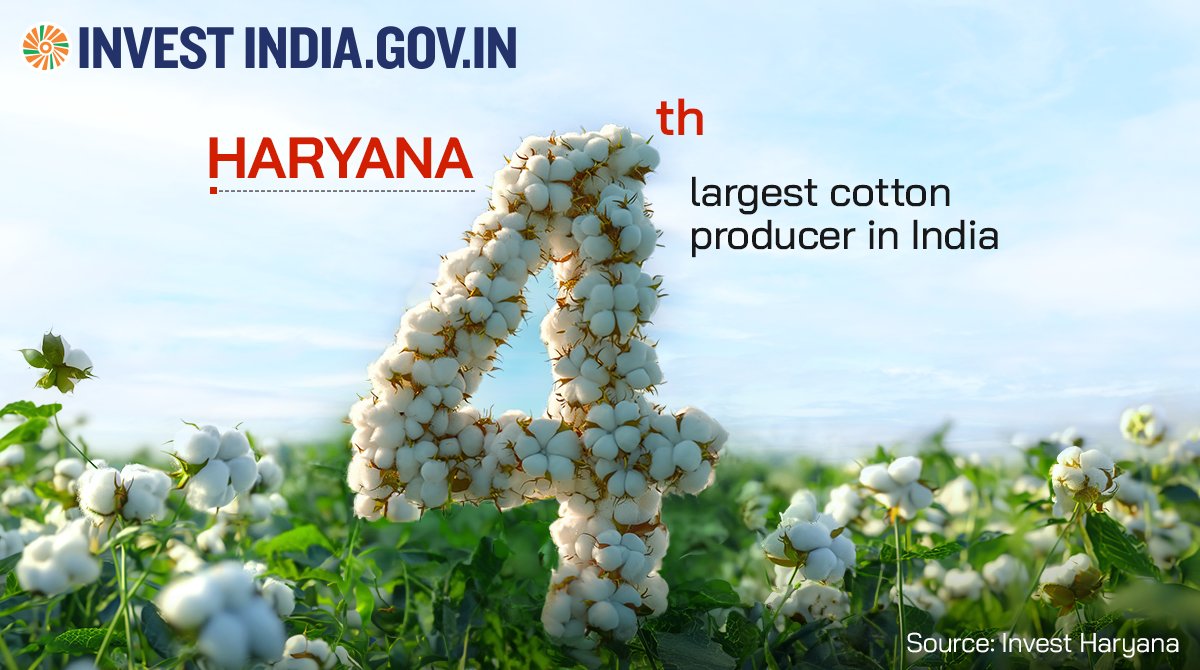 #Haryana's easy access to vast raw material presents a compelling advantage for investors eyeing the #textilessector, promising unparalleled opportunities for success.

Discover more: bit.ly/II-Haryana

#InvestInHaryana #InvestInIndia #InvestIndia #Cotton #CottonProducer