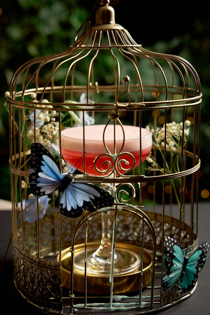 Sip and savour our expertly crafted cocktails at Sketch 🍹 

Whether you enjoy a night out with friends or a romantic evening, our mixologists will delight your taste buds with innovative and classic concoctions.
 
Book now:
imperial-hotel.tablepath.com